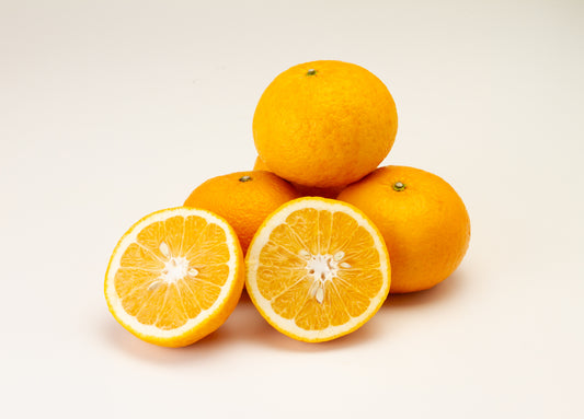 【ご家庭用】かきうち農園の甘夏　2.5ｋｇ（Ｍ～3L混合）